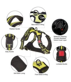 Frenkiez Frenkiez Reflective No Pull Dog Y Harness Yellow/green ( XS . S & XL ) -Hondenmode frenkiez reflective no pull dog y harness yellow g 4
