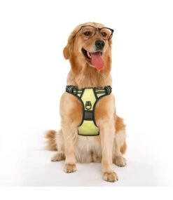 Frenkiez Frenkiez Reflective No Pull Dog Y Harness Yellow/green ( XS . S & XL ) -Hondenmode frenkiez reflective no pull dog y harness yellow g 5