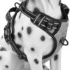 Frenkiez Frenkiez Reflective No Pull Harness Grey -Hondenmode frenkiez reflective no pull harness grey