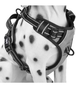 Frenkiez Frenkiez Reflective No Pull Harness Grey