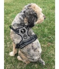 Frenkiez Frenkiez Reflective No Pull Harness Grey -Hondenmode frenkiez reflective no pull harness grey 4