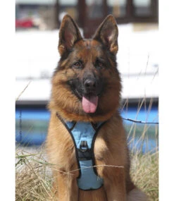 Frenkiez Frenkiez Reflective No Pull Lockable Dog Harness Blue -Hondenmode frenkiez reflective no pull lockable dog harness b 17