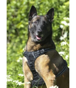 Frenkiez Frenkiez Reflective No Pull Lockable Dog Harness Black -Hondenmode frenkiez reflective no pull lockable dog harness b 3