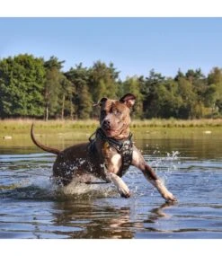 Frenkiez Frenkiez Reflective No Pull Lockable Dog Harness Camouflage -Hondenmode frenkiez reflective no pull lockable dog harness c 2