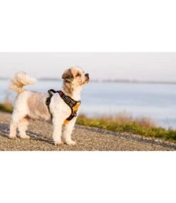 Frenkiez Frenkiez Reflective No Pull Lockable Dog Harness Orange -Hondenmode frenkiez reflective no pull lockable dog harness o 3