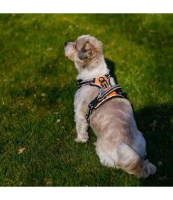 Frenkiez Frenkiez Reflective No Pull Lockable Dog Harness Orange -Hondenmode frenkiez reflective no pull lockable dog harness o 4