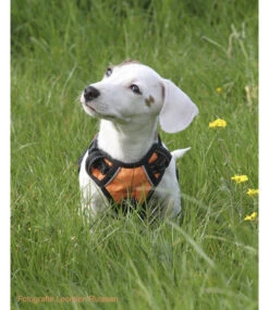 Frenkiez Frenkiez Reflective No Pull Lockable Dog Harness Orange -Hondenmode frenkiez reflective no pull lockable dog harness o 7