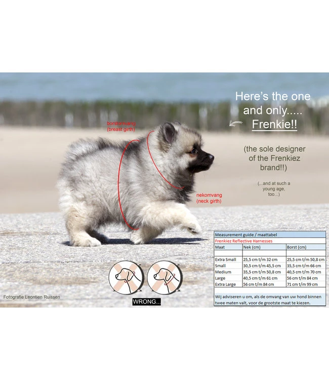 Frenkiez Frenkiez Reflective No Pull Lockable Dog Harness Pink 5 Frenkiez Frenkiez Reflective No Pull Lockable Dog Harness Pink - Afbeelding 3