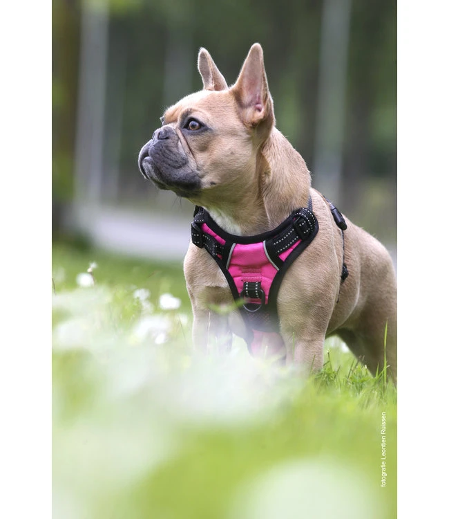 Frenkiez Frenkiez Reflective No Pull Lockable Dog Harness Pink 10 Frenkiez Frenkiez Reflective No Pull Lockable Dog Harness Pink - Afbeelding 8