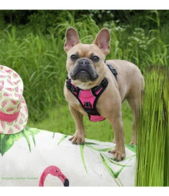 Frenkiez Frenkiez Reflective No Pull Lockable Dog Harness Pink 20 Frenkiez Frenkiez Reflective No Pull Lockable Dog Harness Pink -Hondenmode frenkiez reflective no pull lockable dog harness p 18