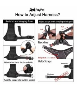 Frenkiez Frenkiez Reflective No Pull Lockable Dog Harness Printing Blue -Hondenmode frenkiez reflective no pull lockable dog harness p 2