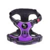 Frenkiez Frenkiez Reflective No Pull Lockable Dog Harness Purple 1 Frenkiez Frenkiez Reflective No Pull Lockable Dog Harness Purple -Hondenmode frenkiez reflective no pull lockable dog harness p 20