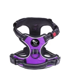 Frenkiez Frenkiez Reflective No Pull Lockable Dog Harness Purple