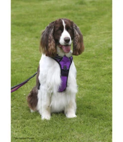 Frenkiez Frenkiez Reflective No Pull Lockable Dog Harness Purple 20 Frenkiez Frenkiez Reflective No Pull Lockable Dog Harness Purple -Hondenmode frenkiez reflective no pull lockable dog harness p 28