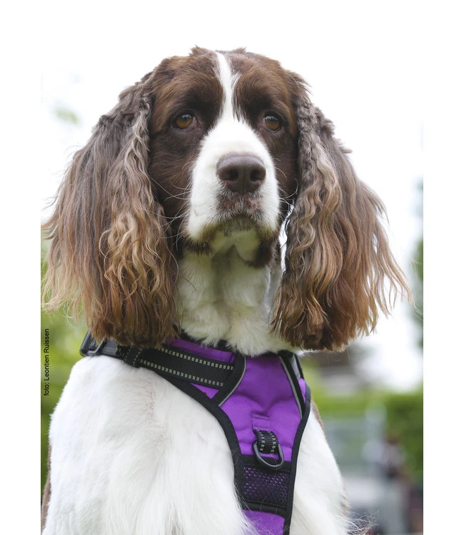 Frenkiez Frenkiez Reflective No Pull Lockable Dog Harness Purple 12 Frenkiez Frenkiez Reflective No Pull Lockable Dog Harness Purple - Afbeelding 10