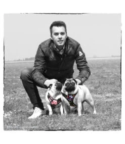 Frenkiez Frenkiez Reflective No Pull Lockable Dog Harness Printing Pink ( L & XL ) -Hondenmode frenkiez reflective no pull lockable dog harness p 35