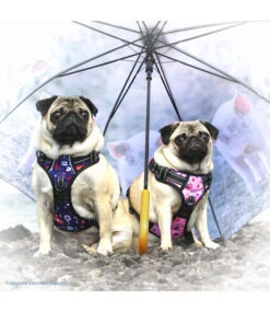 Frenkiez Frenkiez Reflective No Pull Lockable Dog Harness Printing Pink ( L & XL ) -Hondenmode frenkiez reflective no pull lockable dog harness p 36