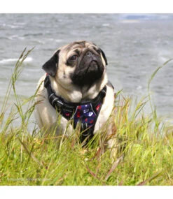 Frenkiez Frenkiez Reflective No Pull Lockable Dog Harness Printing Blue -Hondenmode frenkiez reflective no pull lockable dog harness p 7