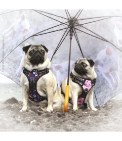 Frenkiez Frenkiez Reflective No Pull Lockable Dog Harness Printing Blue -Hondenmode frenkiez reflective no pull lockable dog harness p 8