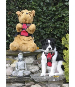 Frenkiez Frenkiez Reflective No Pull Lockable Dog Y Harness Red ( XS & S ) -Hondenmode frenkiez reflective no pull lockable dog y harness 3