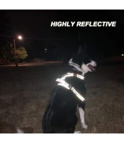 Frenkiez Frenkiez Reflective Y Tuig No Pull Dogharness Beige -Hondenmode frenkiez reflective y tuig no pull dogharness beig 3