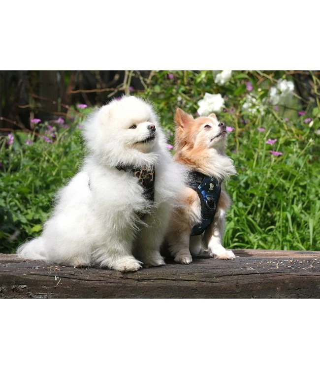 Frenkiez Frenkiez Reflective Y Tuig No Pull Dogharness Blue Stars 4 Frenkiez Frenkiez Reflective Y Tuig No Pull Dogharness Blue Stars - Afbeelding 2