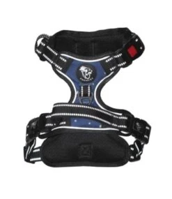 Frenkiez Frenkiez Reflective Y Tuig No Pull Dogharness Blue Stars 11 Frenkiez Frenkiez Reflective Y Tuig No Pull Dogharness Blue Stars -Hondenmode frenkiez reflective y tuig no pull dogharness blue 2