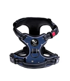 Frenkiez Frenkiez Reflective Y Tuig No Pull Dogharness Blue Stars