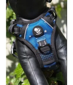 Frenkiez Frenkiez Reflective Y Tuig No Pull Dogharness Blue Stars 13 Frenkiez Frenkiez Reflective Y Tuig No Pull Dogharness Blue Stars -Hondenmode frenkiez reflective y tuig no pull dogharness blue 4