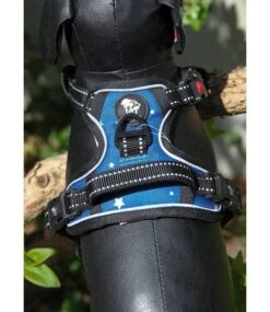 Frenkiez Frenkiez Reflective Y Tuig No Pull Dogharness Blue Stars 14 Frenkiez Frenkiez Reflective Y Tuig No Pull Dogharness Blue Stars -Hondenmode frenkiez reflective y tuig no pull dogharness blue 5