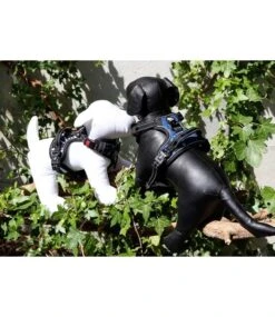 Frenkiez Frenkiez Reflective Y Tuig No Pull Dogharness Blue Stars 15 Frenkiez Frenkiez Reflective Y Tuig No Pull Dogharness Blue Stars -Hondenmode frenkiez reflective y tuig no pull dogharness blue 6