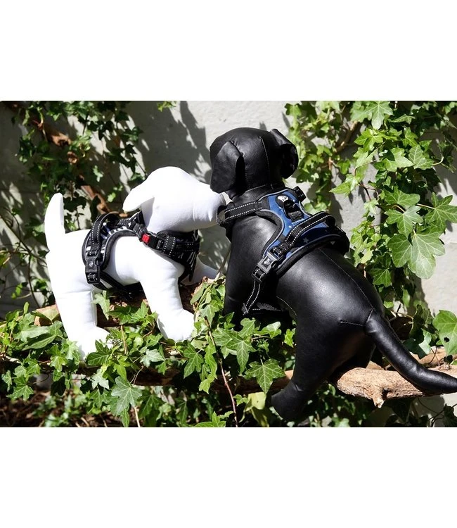 Frenkiez Frenkiez Reflective Y Tuig No Pull Dogharness Blue Stars 9 Frenkiez Frenkiez Reflective Y Tuig No Pull Dogharness Blue Stars - Afbeelding 7