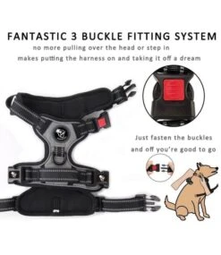 Frenkiez Frenkiez Reflective Y Tuig No Pull Dogharness Grey -Hondenmode frenkiez reflective y tuig no pull dogharness grey 2