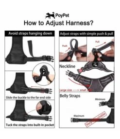 Frenkiez Frenkiez Reflective Y Tuig No Pull Dogharness Light Leopard -Hondenmode frenkiez reflective y tuig no pull dogharness ligh 15