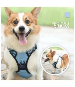 Frenkiez Frenkiez Reflective Y Tuig No Pull Dogharness Lightblue -Hondenmode frenkiez reflective y tuig no pull dogharness ligh 4