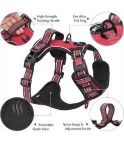 Frenkiez Frenkiez Reflective Y Tuig No Pull Dogharness Red -Hondenmode frenkiez reflective y tuig no pull dogharness red 2