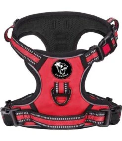 Frenkiez Frenkiez Reflective Y Tuig No Pull Dogharness Red