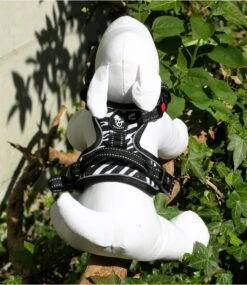 Frenkiez Frenkiez Reflective Y Tuig No Pull Dogharness Zebra -Hondenmode frenkiez reflective y tuig no pull dogharness zebr 9