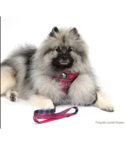 Frenkiez Frenkiez Reversible Harness BarkBerry Red Hondentuigje -Hondenmode frenkiez reversible harness barkberry red hondentu 7