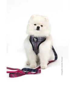 Frenkiez Frenkiez Reversible Harness BarkBerry Red Hondentuigje -Hondenmode frenkiez reversible harness barkberry red hondentu 8