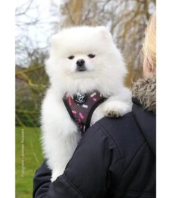 Frenkiez Frenkiez Reversible Harness Coffee Sprinkles Hondentuigje -Hondenmode frenkiez reversible harness coffee sprinkles honde 5