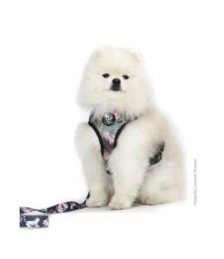 Frenkiez Frenkiez Reversible Harness Maki Flower -Hondenmode frenkiez reversible harness maki flower 8