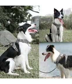 Frenkiez Frenkiez Y Tuig Dogharness Reflective Grey ( Matching Straps ) -Hondenmode frenkiez y tuig dogharness reflective grey matchin 2