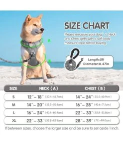 Frenkiez Frenkiez Y Tuig Dogharness Reflective Grey ( Matching Straps ) -Hondenmode frenkiez y tuig dogharness reflective grey matchin 3