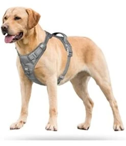 Frenkiez Frenkiez Y Tuig Dogharness Reflective Grey ( Matching Straps ) -Hondenmode frenkiez y tuig dogharness reflective grey matchin 6