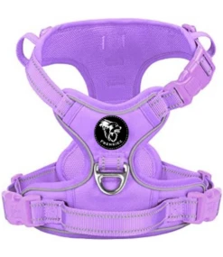 Frenkiez Frenkiez Y Tuig Dogharness Reflective Lila ( Matching Straps )