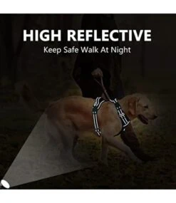 Frenkiez Frenkiez Y Tuig Dogharness Reflective Lila ( Matching Straps ) 15 Frenkiez Frenkiez Y Tuig Dogharness Reflective Lila ( Matching Straps ) -Hondenmode frenkiez y tuig dogharness reflective lila matchin 3