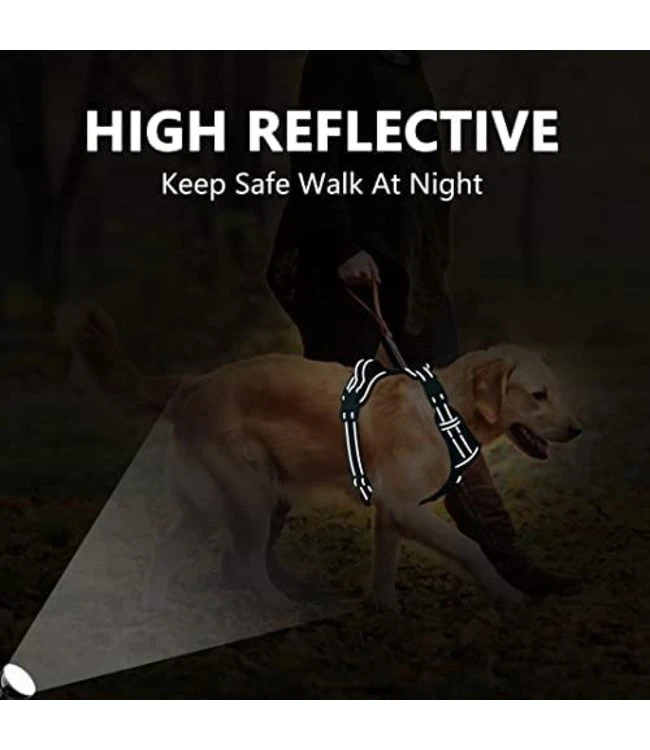 Frenkiez Frenkiez Y Tuig Dogharness Reflective Lila ( Matching Straps ) 8 Frenkiez Frenkiez Y Tuig Dogharness Reflective Lila ( Matching Straps ) - Afbeelding 6