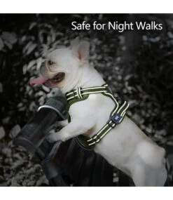 Frenkiez Frenkiez Y Tuig Dogharness Reflective ( Matching Straps ) Light Blue