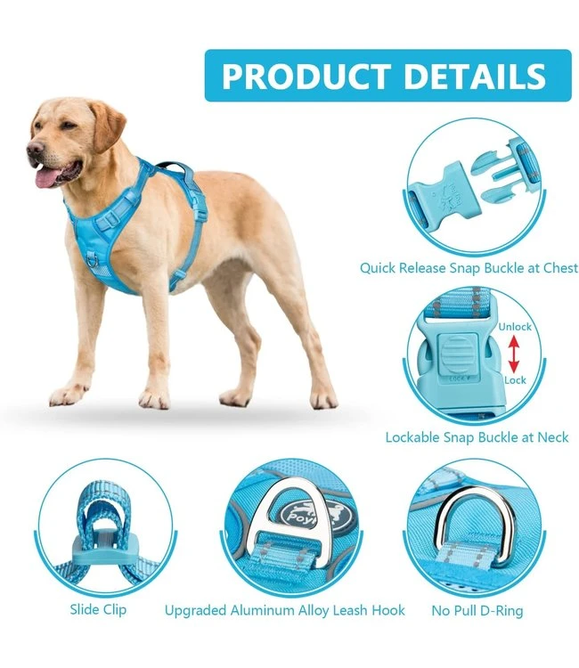 Frenkiez Frenkiez Y Tuig Dogharness Reflective ( Matching Straps ) Blue 4 Frenkiez Frenkiez Y Tuig Dogharness Reflective ( Matching Straps ) Blue - Afbeelding 2